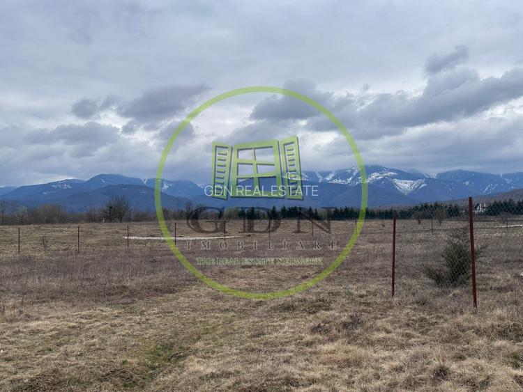 Exclusivitate! Teren intravilan, ttrifazic 44kw, urbanism, toate avizele luate! - 6