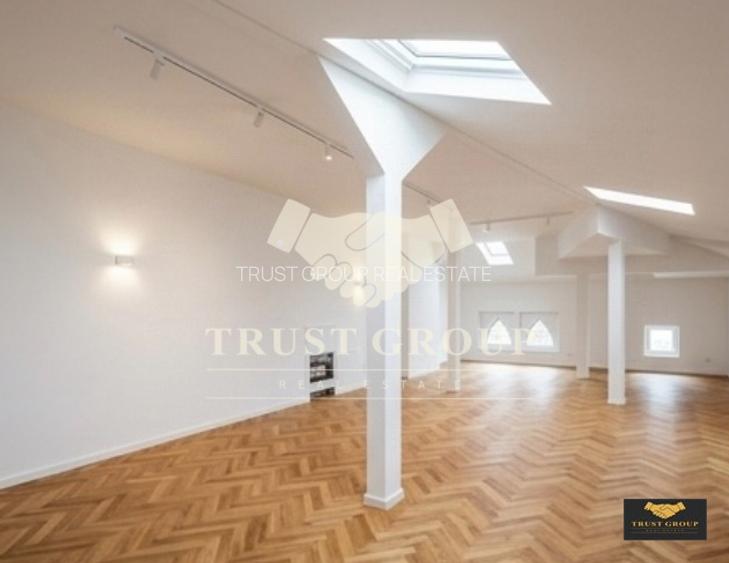 Casa individuala Gradina Icoanei | 2 Locuri Parcare | 253 mp curte libera  - 6