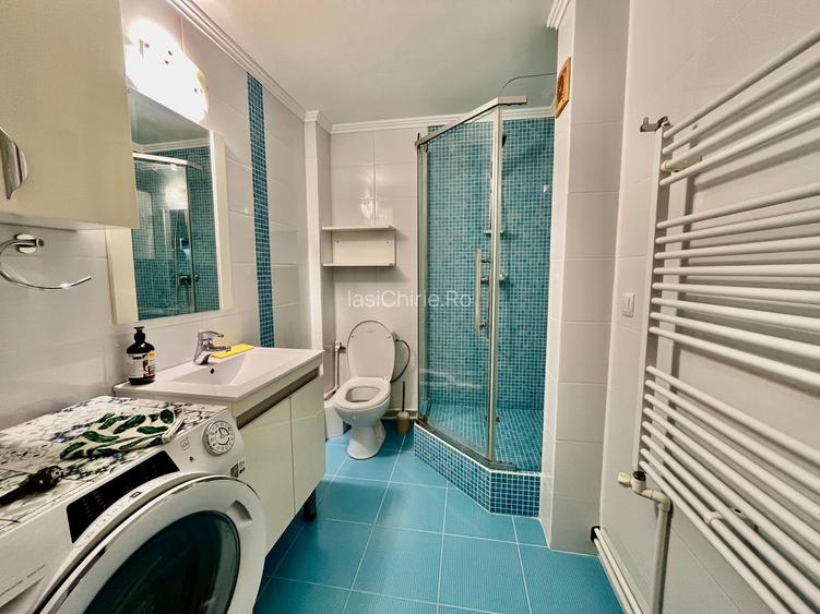 Apartament de inchiriat, o camera, Open space, 42 mp, Nicolina, (Rond Vechi) - 13