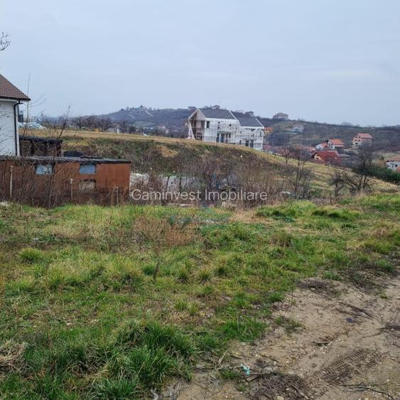 Vanzare Teren intravilan 3133 mp strada Sofiei, Oradea, Bihor - Exclusivitatate - 7