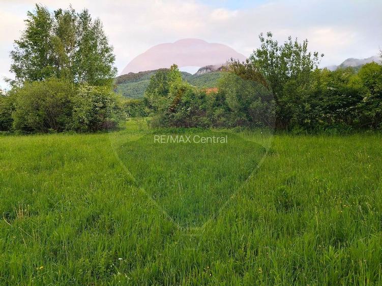 Teren Bran-Zarnesti - Tohanita, 4223mp - 15