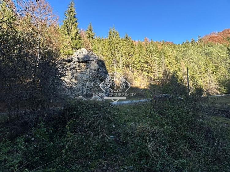 Teren 2.882 mp – oportunitate investitie - Cheile Dâmbovicioarei - 13