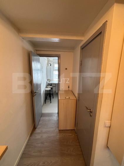OPORTUNITATE INVESTITIE! Apartament cu 1 camera + mezanin, 30,5 mp, langa FSEGA - 4