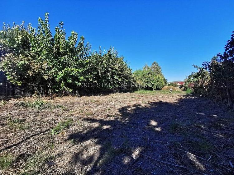 Teren de vanzare in zona Ostroveni - 4