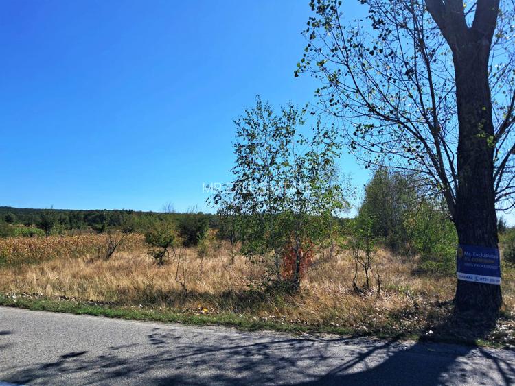 TEREN INTRAVILAN ȘI EXTRAVILAN BAIA DE FIER - 2