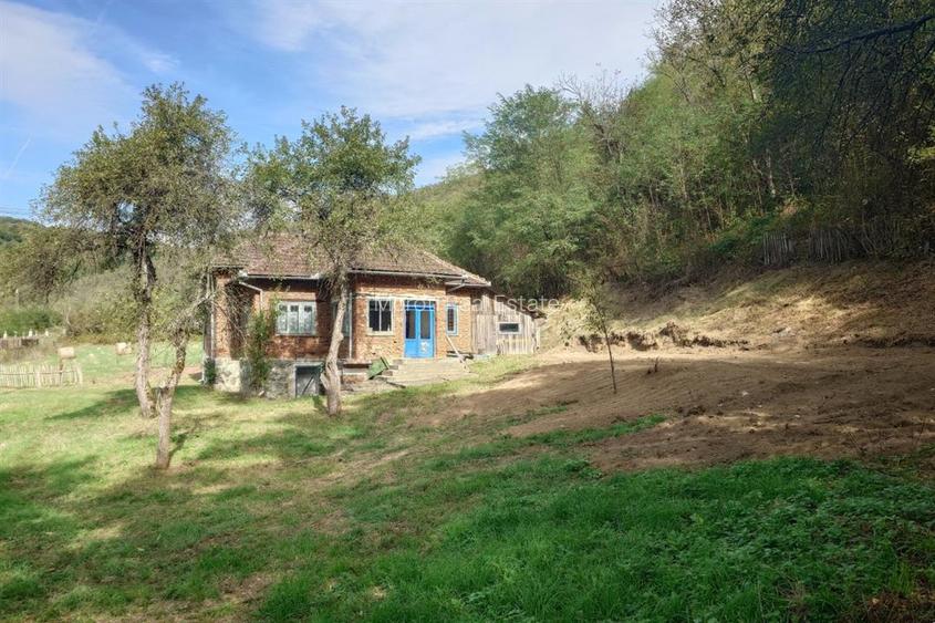 Teren, padure si casa in Dumbrava de Jos, jud. Hunedoara - 17