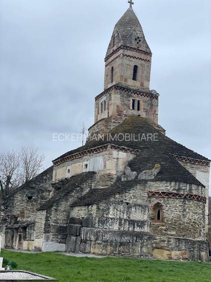 Densuș, casă de vânzare, pozitie extraordinara, 2000 mp teren - 6