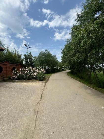 Teren intravilan Comana - 4