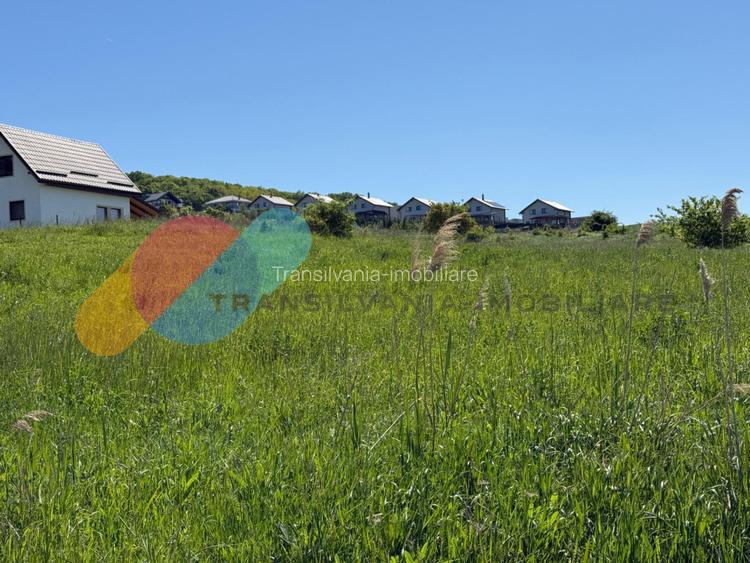 Teren Intravilan de 4.300 mp cu Acces Asfaltat – Popești, Cluj-Napoca - 2