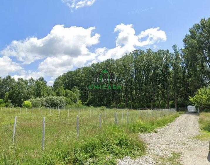 Teren Bujoreni  1073mp / Intravilan - 3