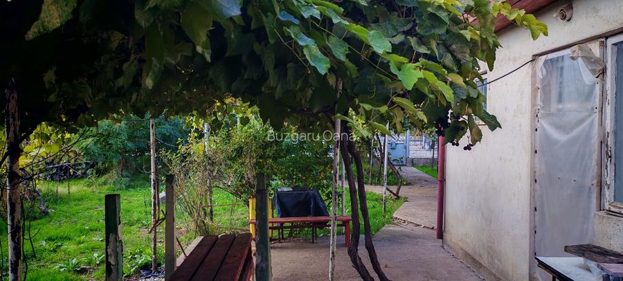 Teren vânzare zona Viile Noi - 12