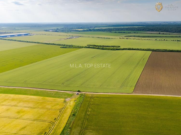Teren Extravilan Arad de vanzare - 8