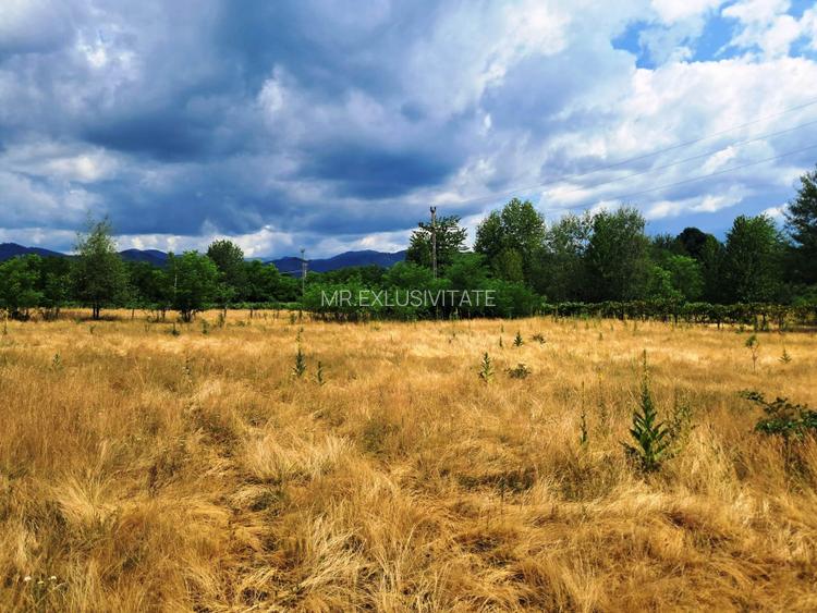 TEREN INTRAVILAN  POLOVRAGI - 2