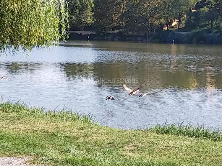 TEREN INTRAVILAN 1950 MP MOARA VLASIEI LA LAC - 8