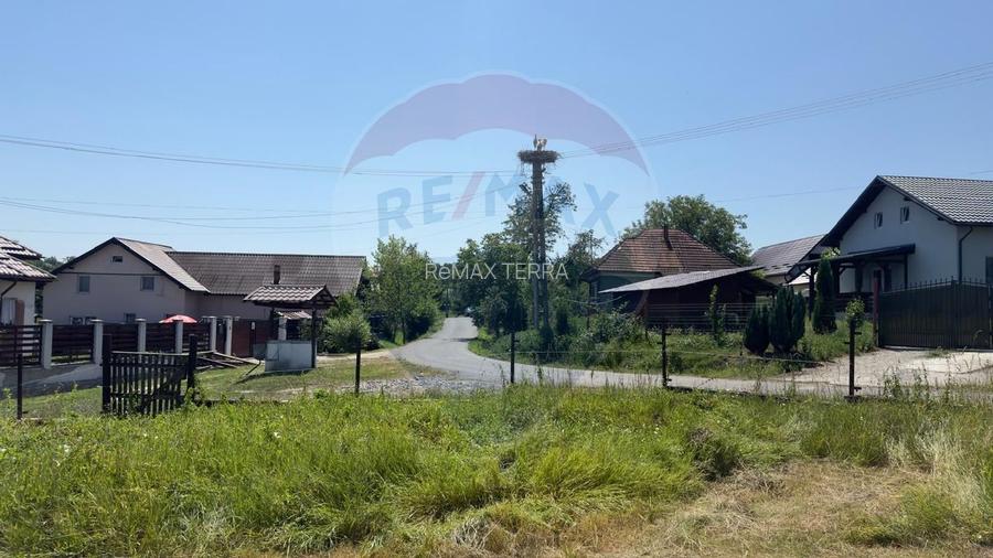 Casa cu teren De Vanzare in Ariesul de Padure - 8