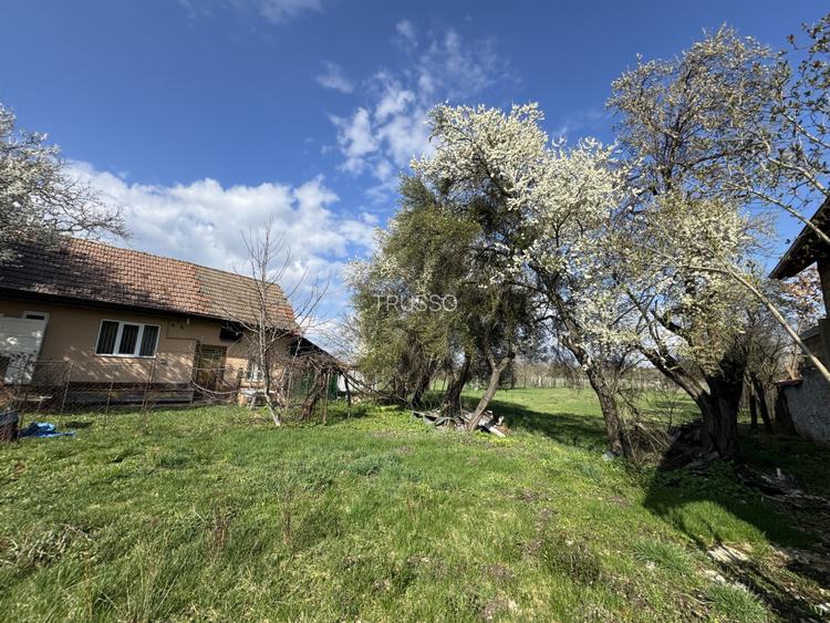 Casa individuală de vânzare – loc. Vad, jud. Brașov - teren 1702 mp - 17