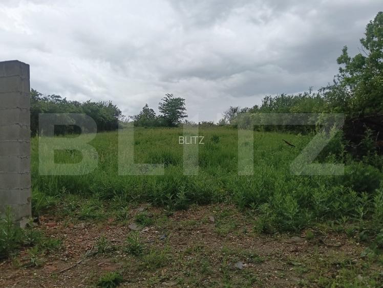 Oferta!!!!!!!Teren intravilan, 750 mp, str Fagetului -Analugojeana - 8