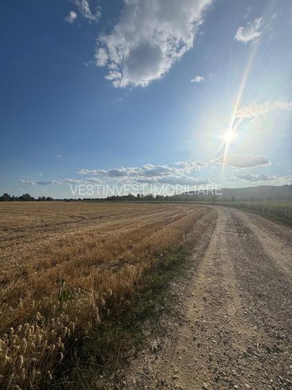 Parcele Teren intravilan Fughiu - 6
