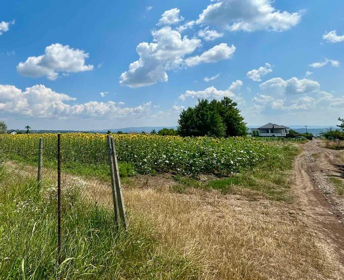 Teren intravilan Platoul Beldiman Rediu Iași – 787 mp Deschidere la 2 drumuri Construibil