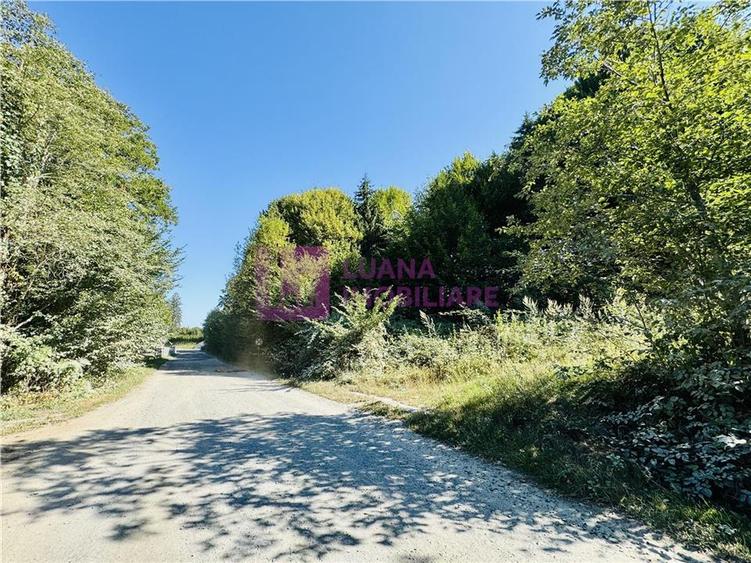 Teren intravilan 3000 mp | Valea Avrigului | deschidere 80 ml
