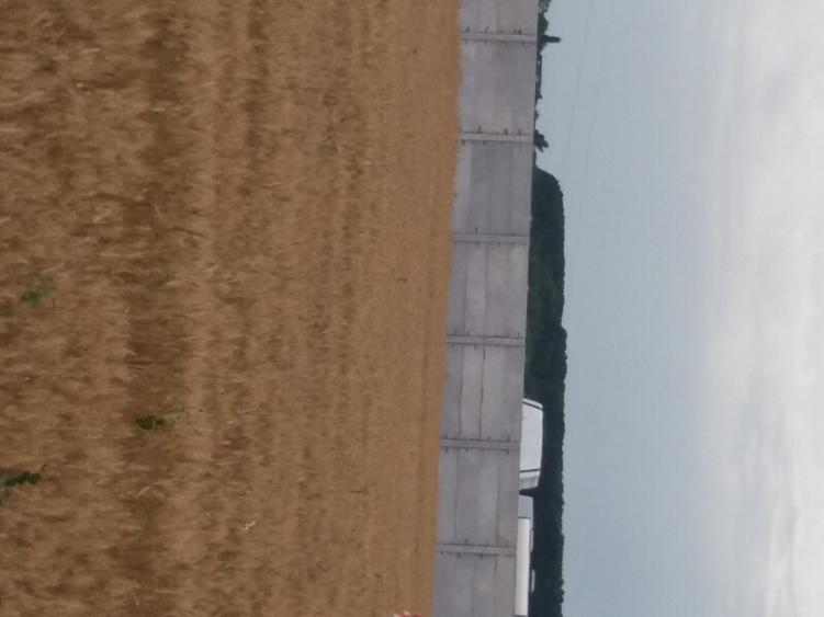 Vanzare Teren 5000mp intravilan Magurele