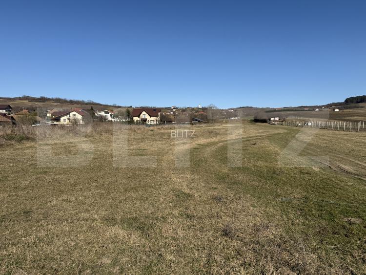 Teren intravilan in localitatea Hereclean in suprafata de 5800 mp - 7