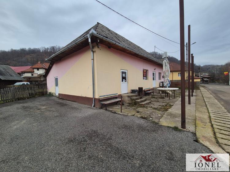 Casa de vanzare in Zlatna-Trimpoiele