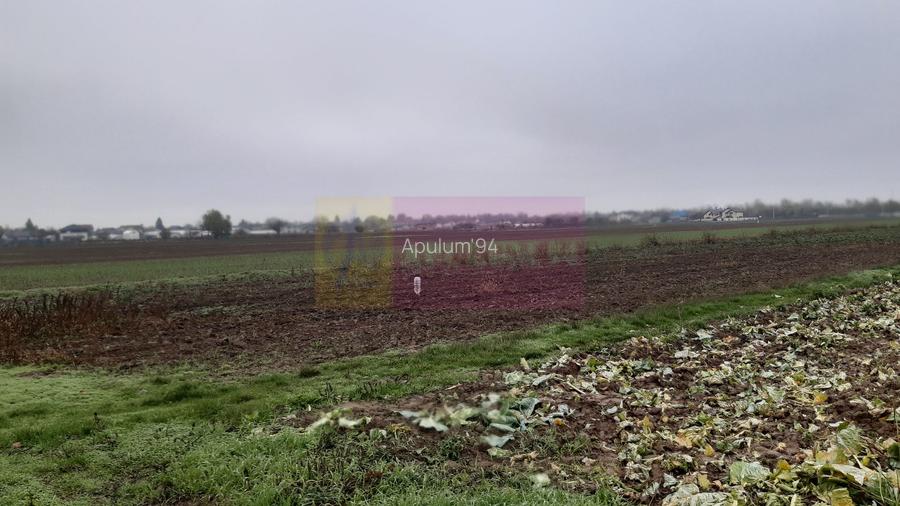 Teren Investiție aproape de București - 10