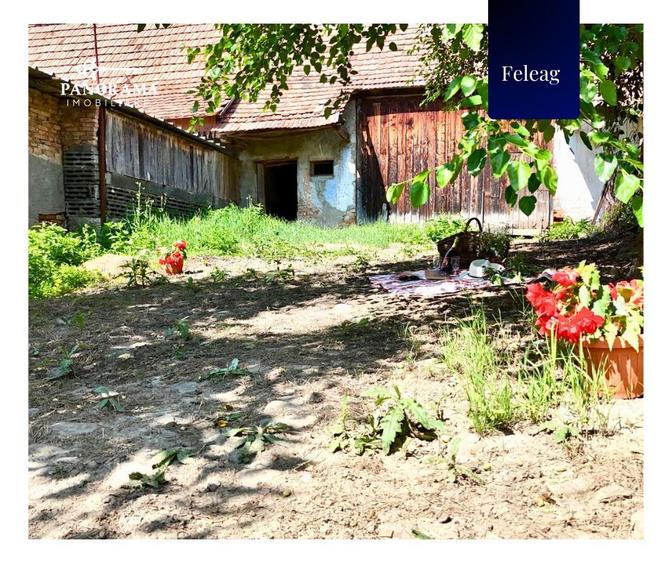 Casă tradițională de vânzare în Transilvania – gospodărie autentică
