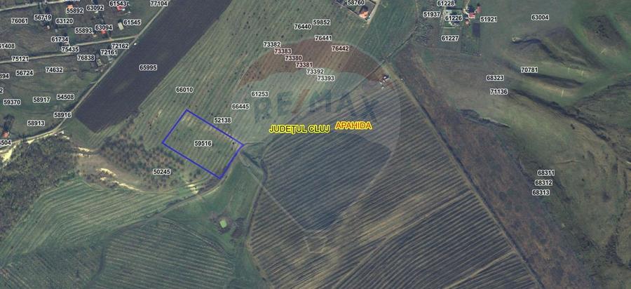 Teren extravilan de vanzare in Campenesti