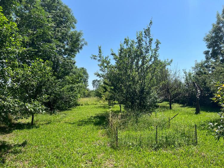 Casă de vacanță 4 camere | livadă 2317mp | Cornu de Jos, Prahova | 1h Bucuresti