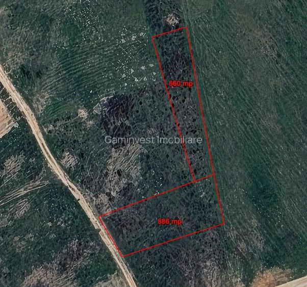 Teren intravilan de vanzare in Sanmartin, zona Beverly Hills, langa padure - 2