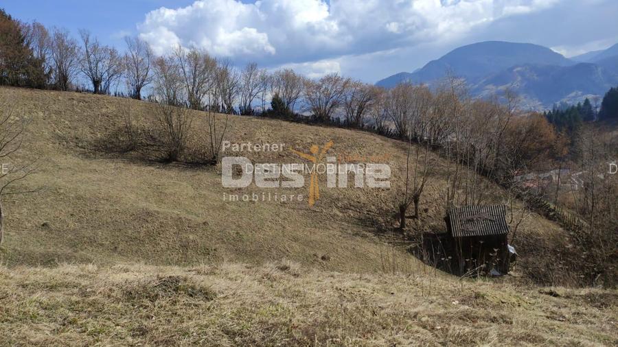 Teren 5000 mp, ideal cabana, pensiune,  in zona de interes  turistic  Rucar-Bran - 4