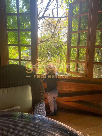 CASUTA DIN POVESTI/CURTE 1100MP/GRADINA MAGICA/SAUNA/PISCINA/SNAGOV - 56