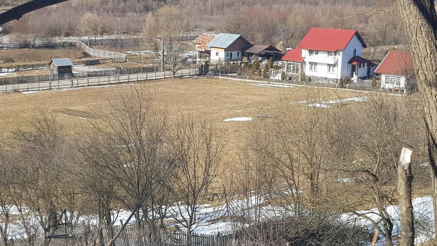 Teren de 10200mp,intravilan , cu deschidere la asfalt