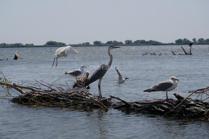 Resort Afacere la cheie gata sa produca Delta Dunării Murighiol - 18