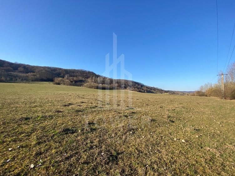 Teren de 7.500 mp de vânzare în Bradu, Avrig-COMISION 0% – lângă râul Olt.