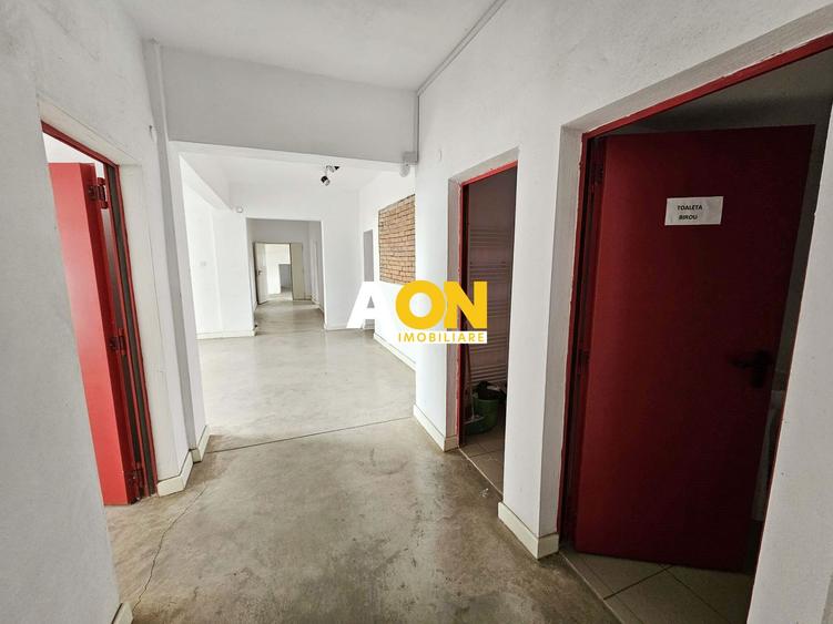 Spatiu industrial pentru productie sau depozitare, 1600 mp, Sebes