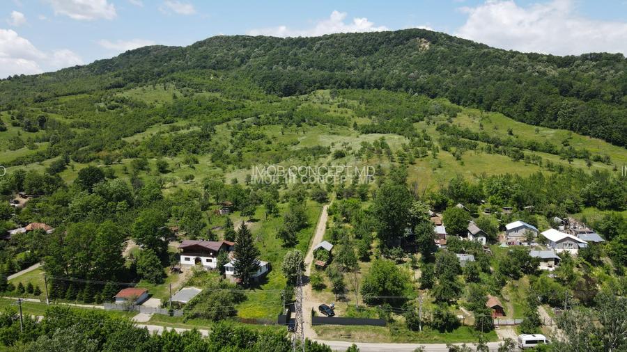 Teren spectaculos cu padure, livada si priveliste panoramica in Soimari PH - 13