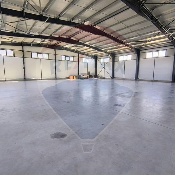 Spațiu industrial hala 597 Mp de inchiriat Ciorogarla