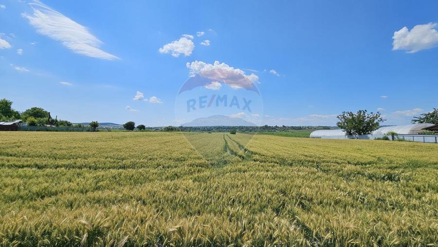 Teren 15,000mp Salcea-Prelipca, Suceava