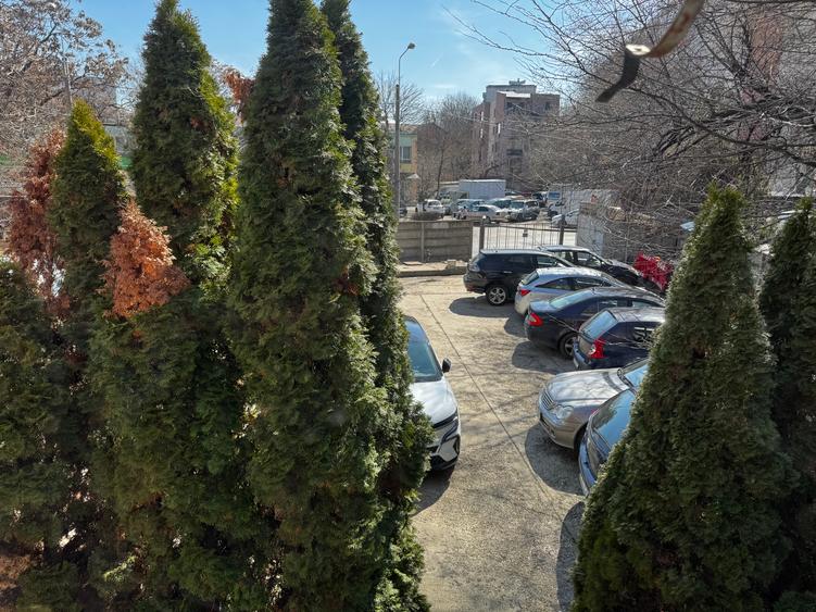 Teren perfect pentru constructie bloc.