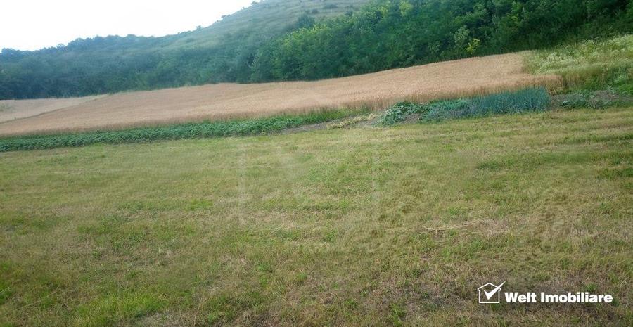 Teren Corpadea, intravilan, pretabil proiect imobiliar, 8700 mp