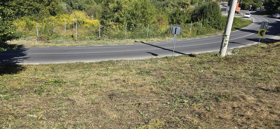 Teren cu PUZ aprobat în Făget, 2072 mp - 3
