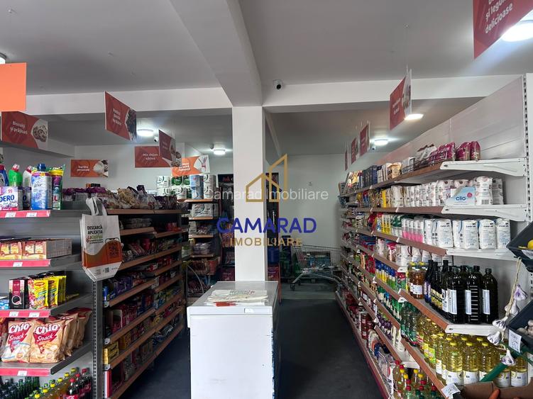 AFACERE LA CHEIE – SPAȚIU COMERCIAL | TĂMĂDĂU MARE | STRADA PRINCIPALA