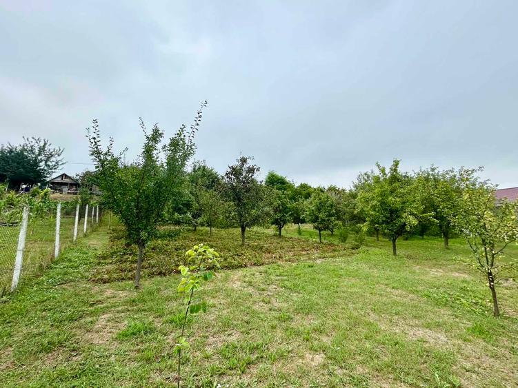 Casă P+M Chicerea Tomesti cu 2.200 mp teren, 30 ml la asfalt, livadă matură și mansardă