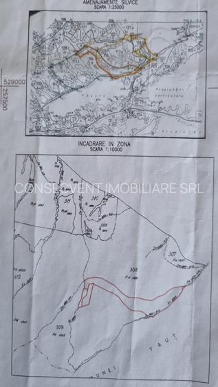 Teren forestier 27,27 ha, Valea Lugojului, Acces facil, 10.000 €/ha - 4