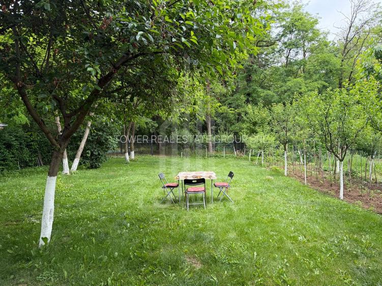 OCAZIE RARĂ - Teren cu cabană de vânzare lângă Lacurile Naturale - Ocna Sibiului - 8