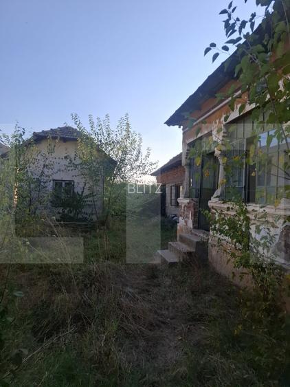Urgent! Casă cu teren 5.038 mp, Pleșoiu-Arcești, stradă principală - 3