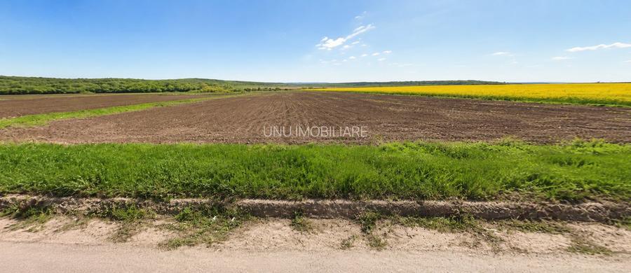 Teren 4,4 Ha la E85 între Budăi și Sîrca – 72 m Deschidere, 20 kV, Ideal Parc Fotovoltaic - 2
